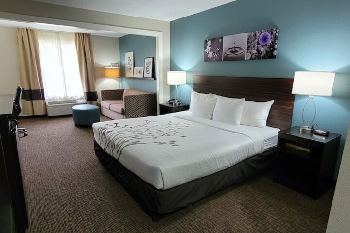 1 King Bed | (6 of 12)
