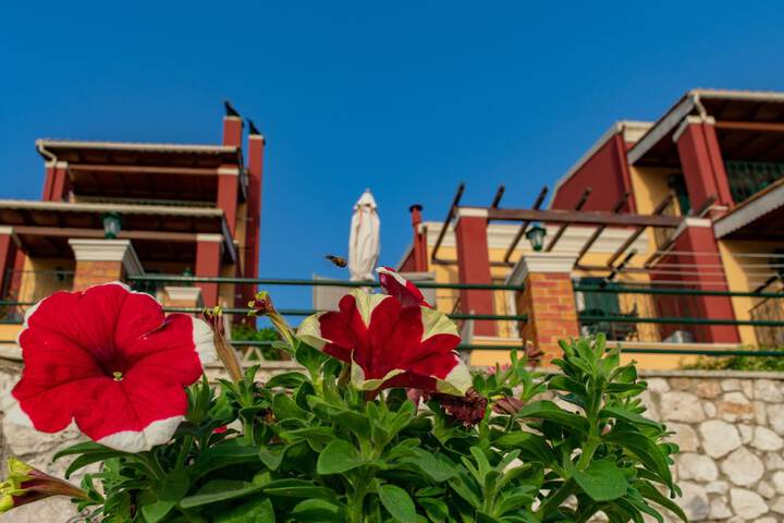 Hotel 55 of 59
