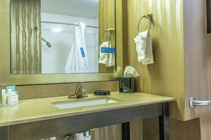 1 King Mobility Hearing Accessible with Tub (11 of 14)