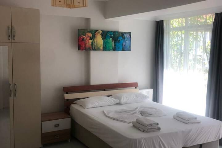 Room 5 of 37