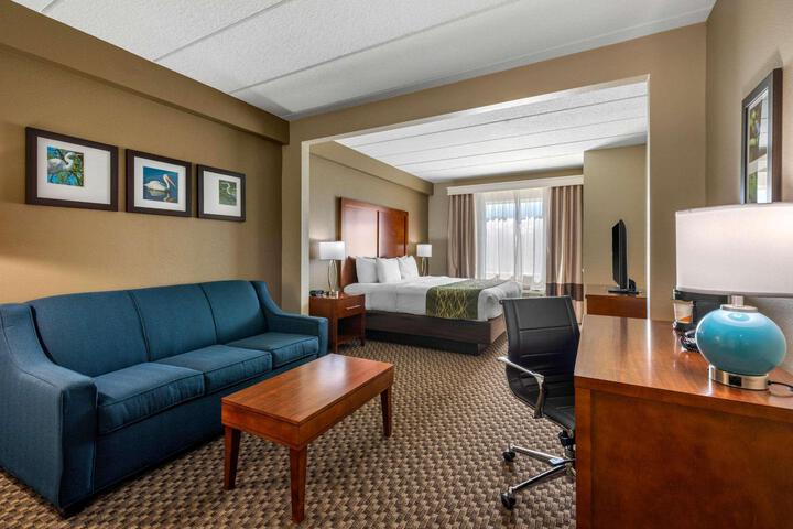 Standard King Bed Accessible (7 of 12)