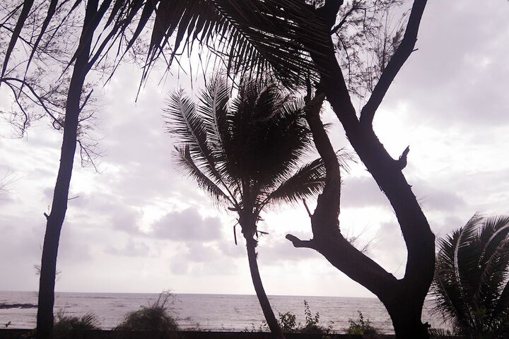 Beach 190 of 233