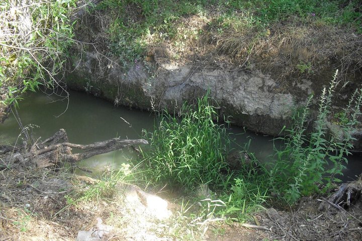 Property Grounds 32 of 46