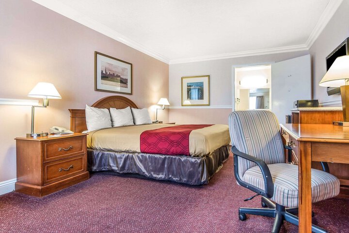 1 King Bed (3 of 8)