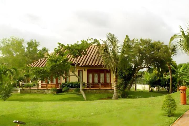 Photo 25
