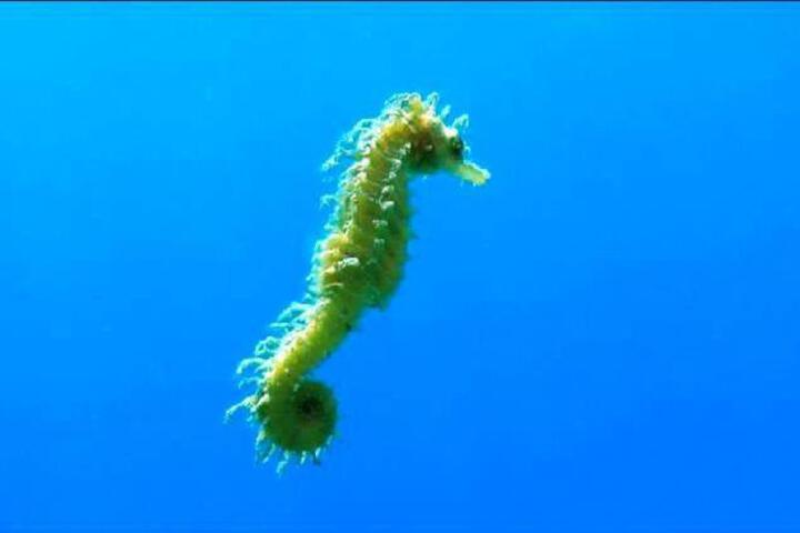 Photo 30
