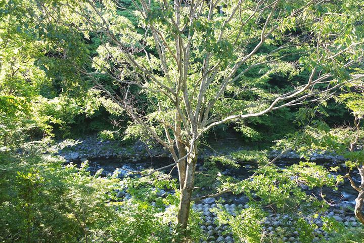 View from room