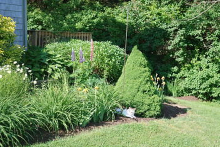 Property Grounds 24 of 27