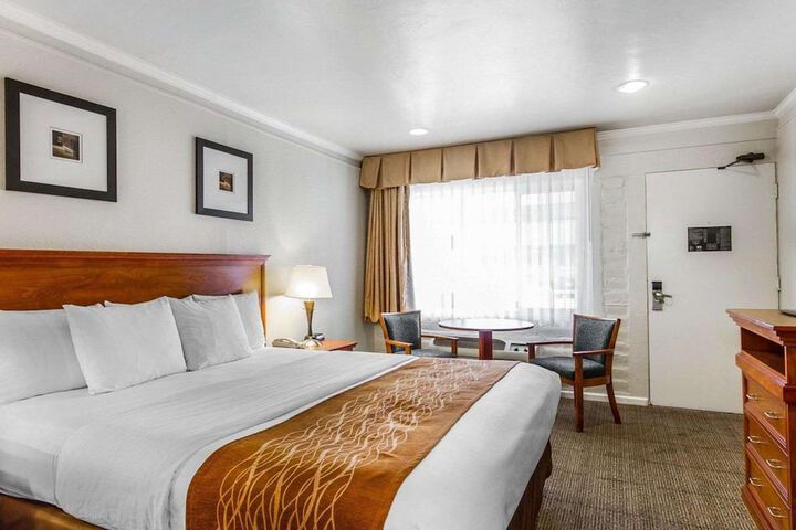 1 King Bed (8 of 14)
