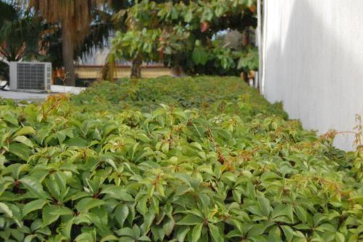 General 39 of 158
