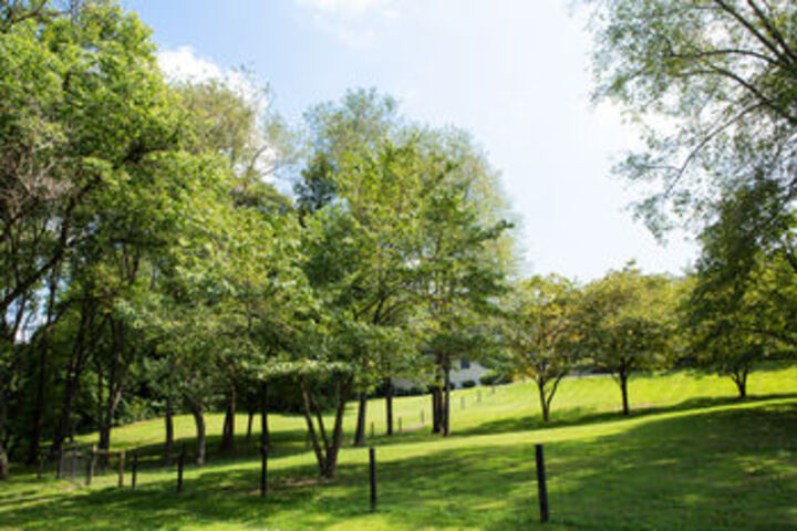 Property Grounds 17 of 20