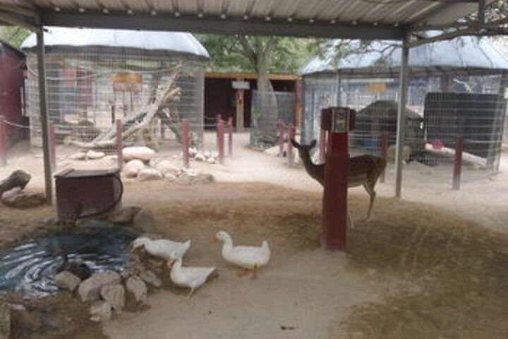 Childrens Activities 35 of 145