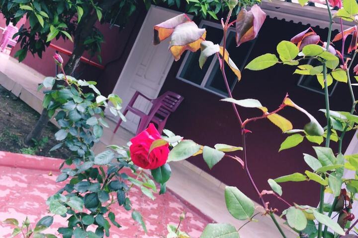 Terrace/Patio 9 of 21
