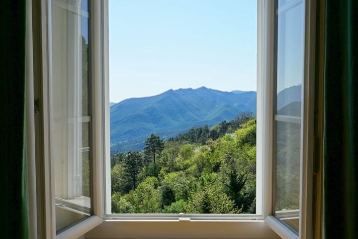 View from room