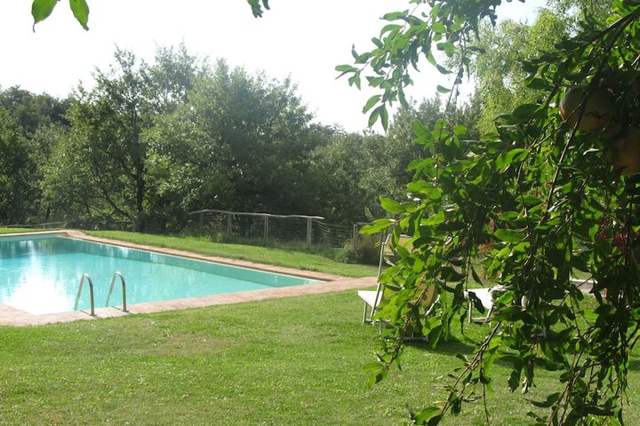 Pool 13 of 58