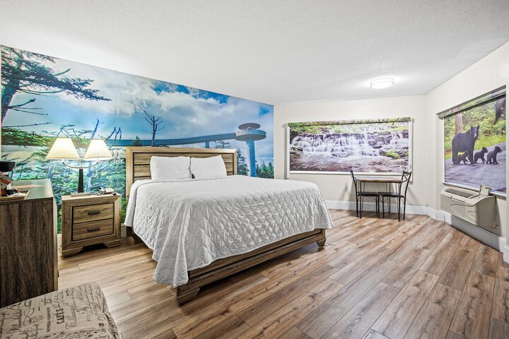 1 King Bed (16 of 30)