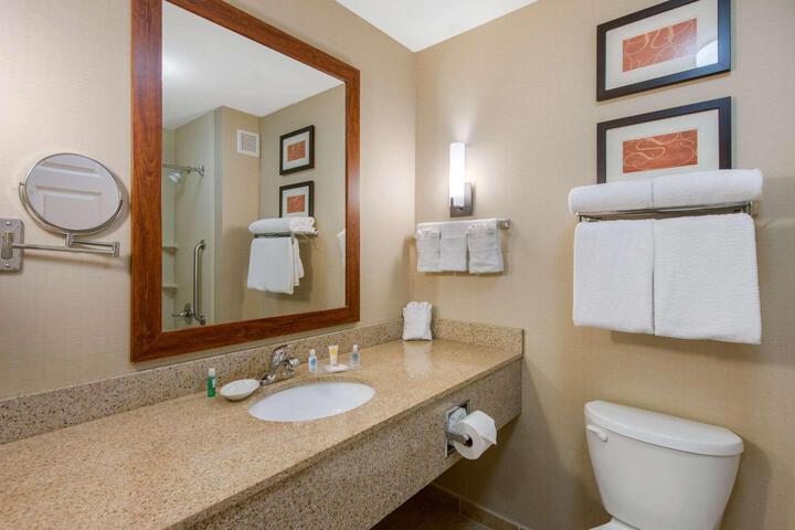 1 King Bed Suite Accessible (12 of 16)