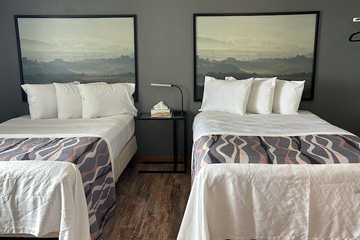Standard Room, King or Two Doubles (2 of 6)