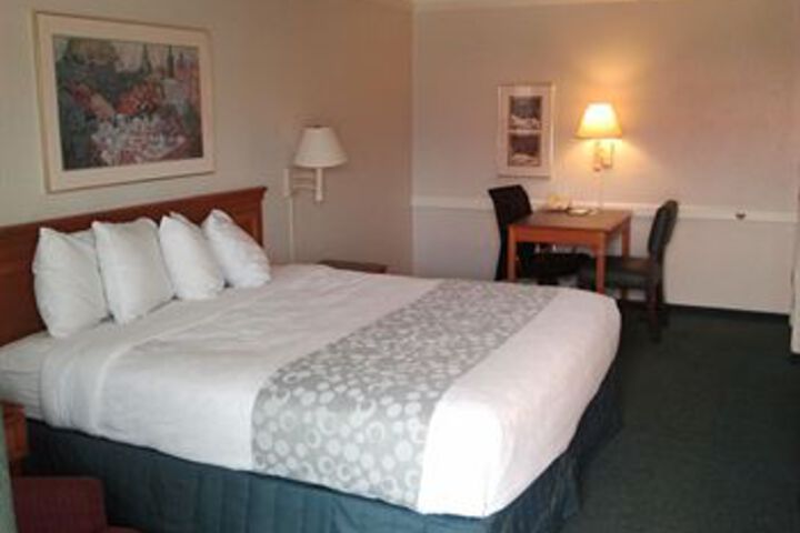Suite Room