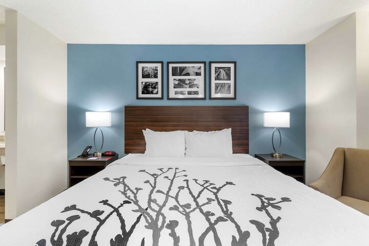 1 King Bed (5 of 11)