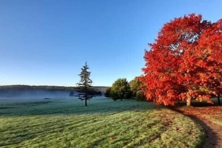 Property Grounds 19 of 27