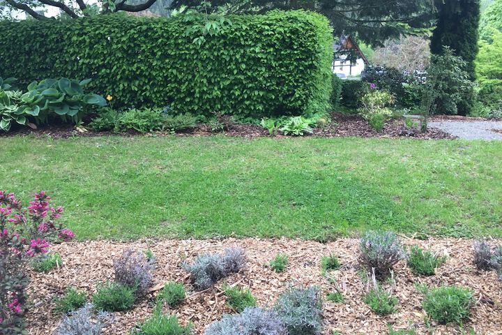 Garden view