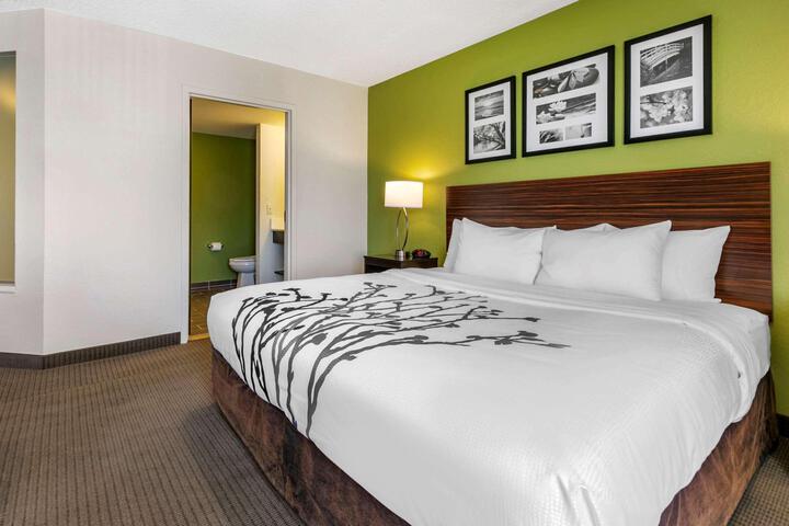 Queen Bed Accessible (2 of 3)
