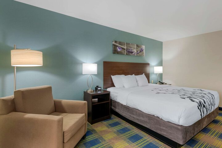 1 King Bed (13 of 15)