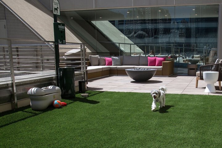 Pet-friendly amenities