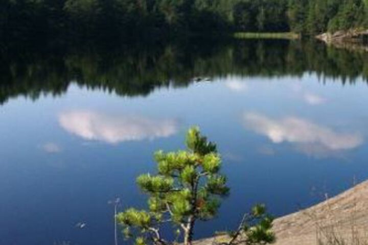 Property Grounds 19 of 27