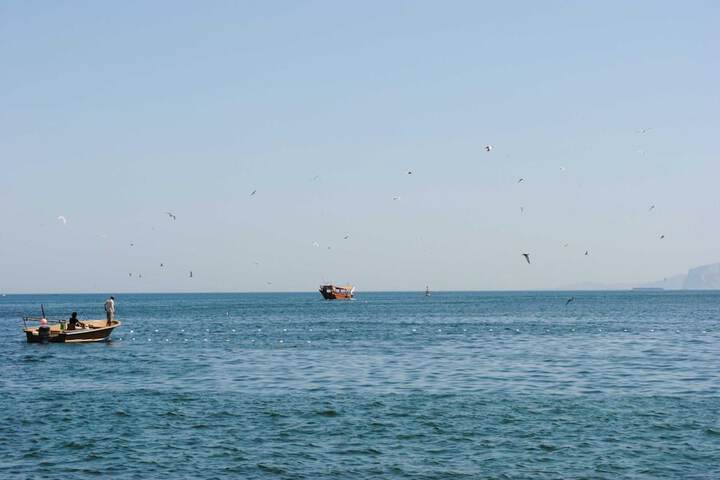 Beach 59 of 75