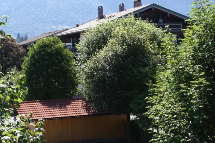 Photo 5
