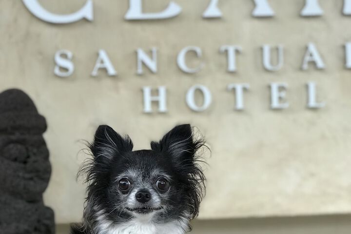 Pet Friendly 49 of 76