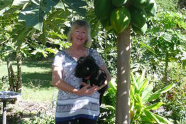 Hotel Exterior 27 of 62