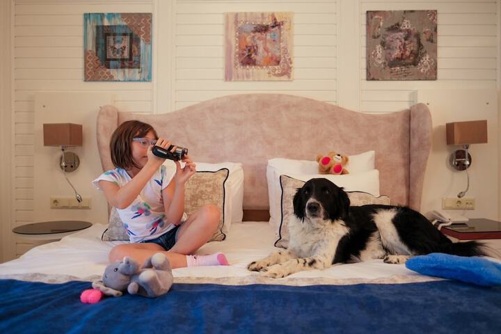 Pet Friendly 152 of 224