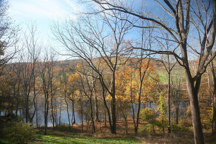 Property Grounds 21 of 28