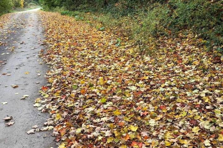 Property Grounds 31 of 52