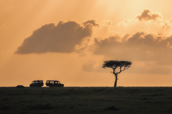 Game drive