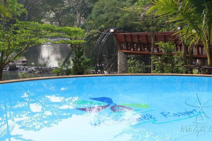 Pool 56 of 95