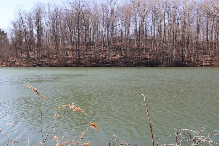 Property Grounds 87 of 100