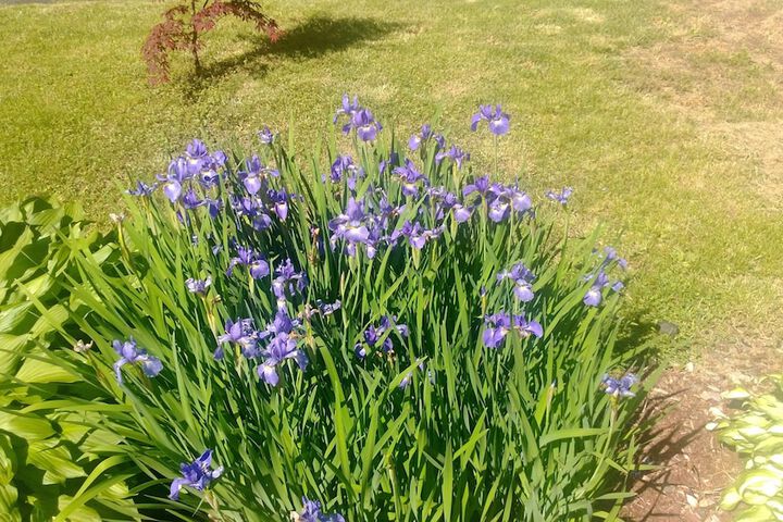 Terrace/Patio 72 of 73