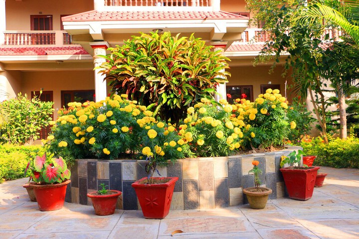 Hotel Exterior 43 of 57