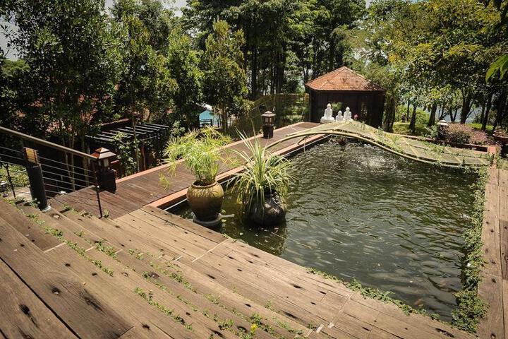 Spa and Wellness Pictures