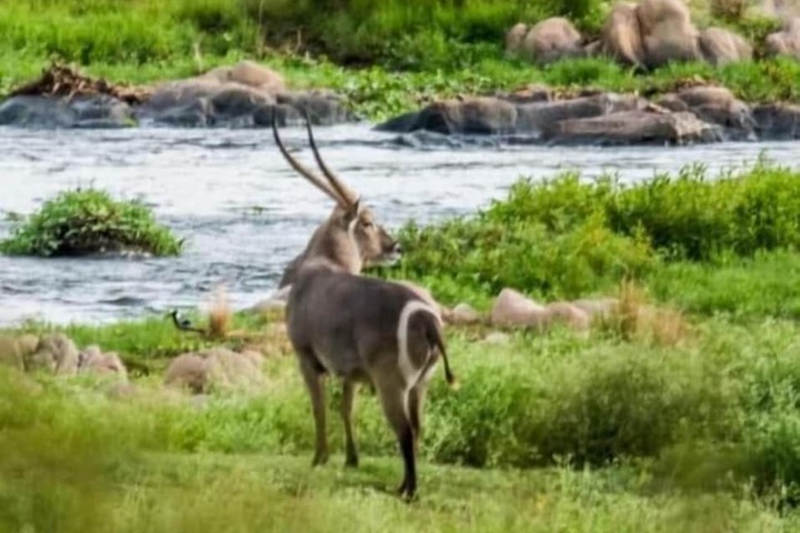 Property Grounds 42 of 60