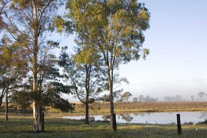 Property Grounds 17 of 20