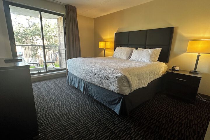 Suite 1 King Bed (19 of 20)