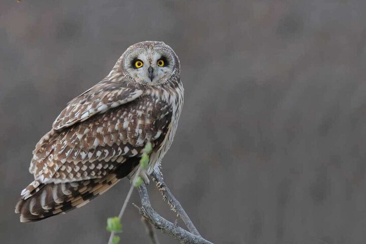 Hotel Interior 30 of 55