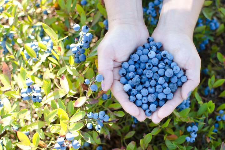 Childrens Activities 23 of 44