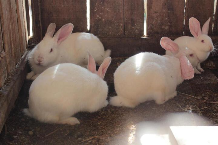 General 63 of 100