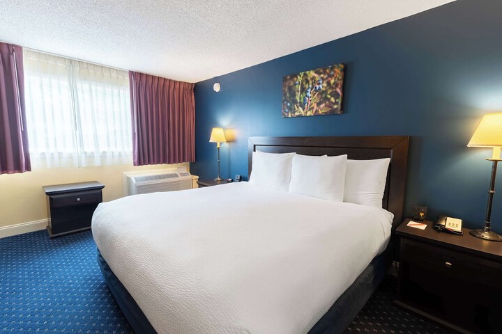 1 King Bed (34 of 39)